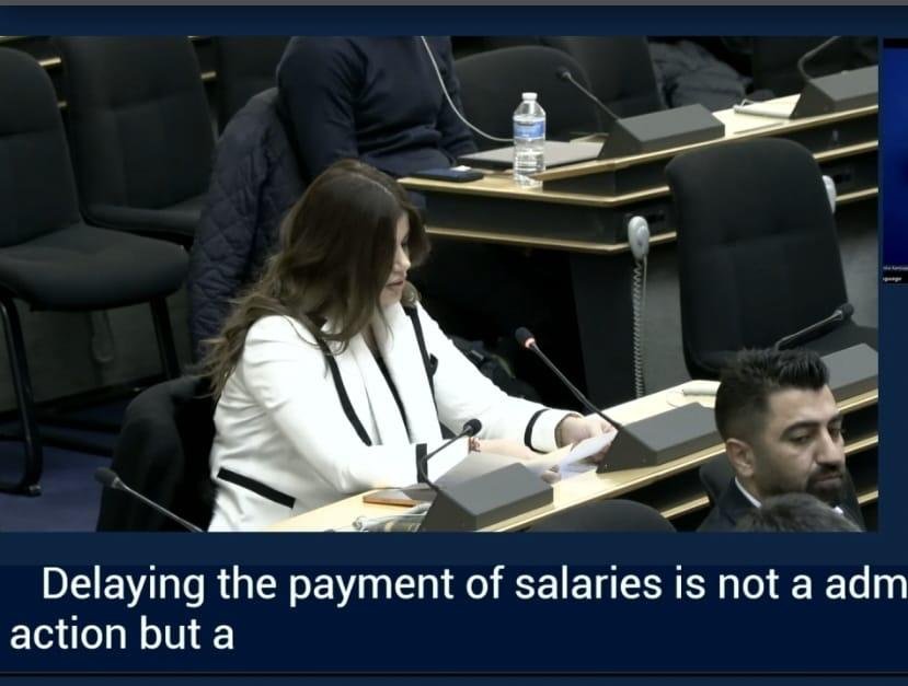 A KIANO representative delivering an intervention from the floor during a session in Geneva