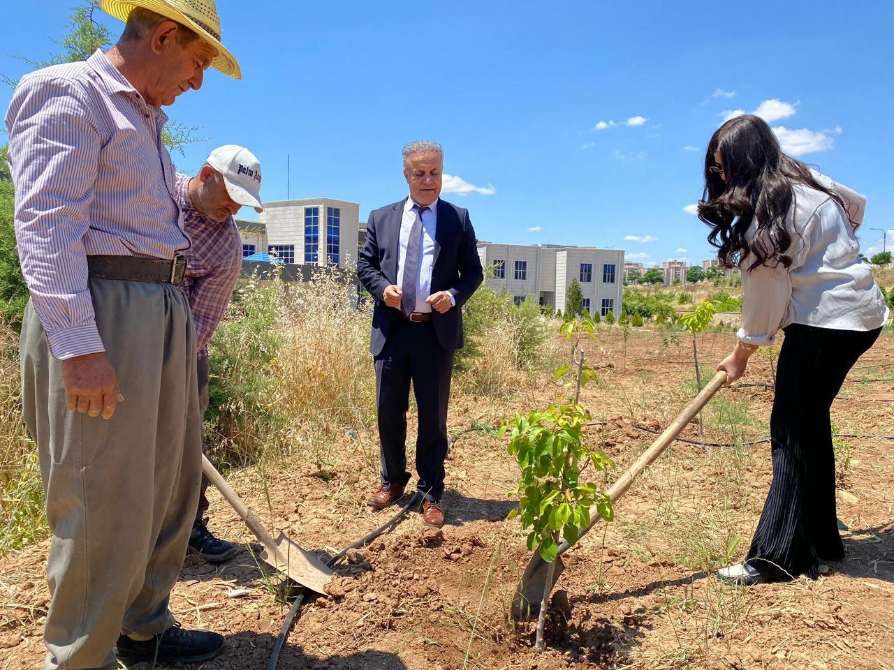 Participants planting a sapling with hoes while officials look on