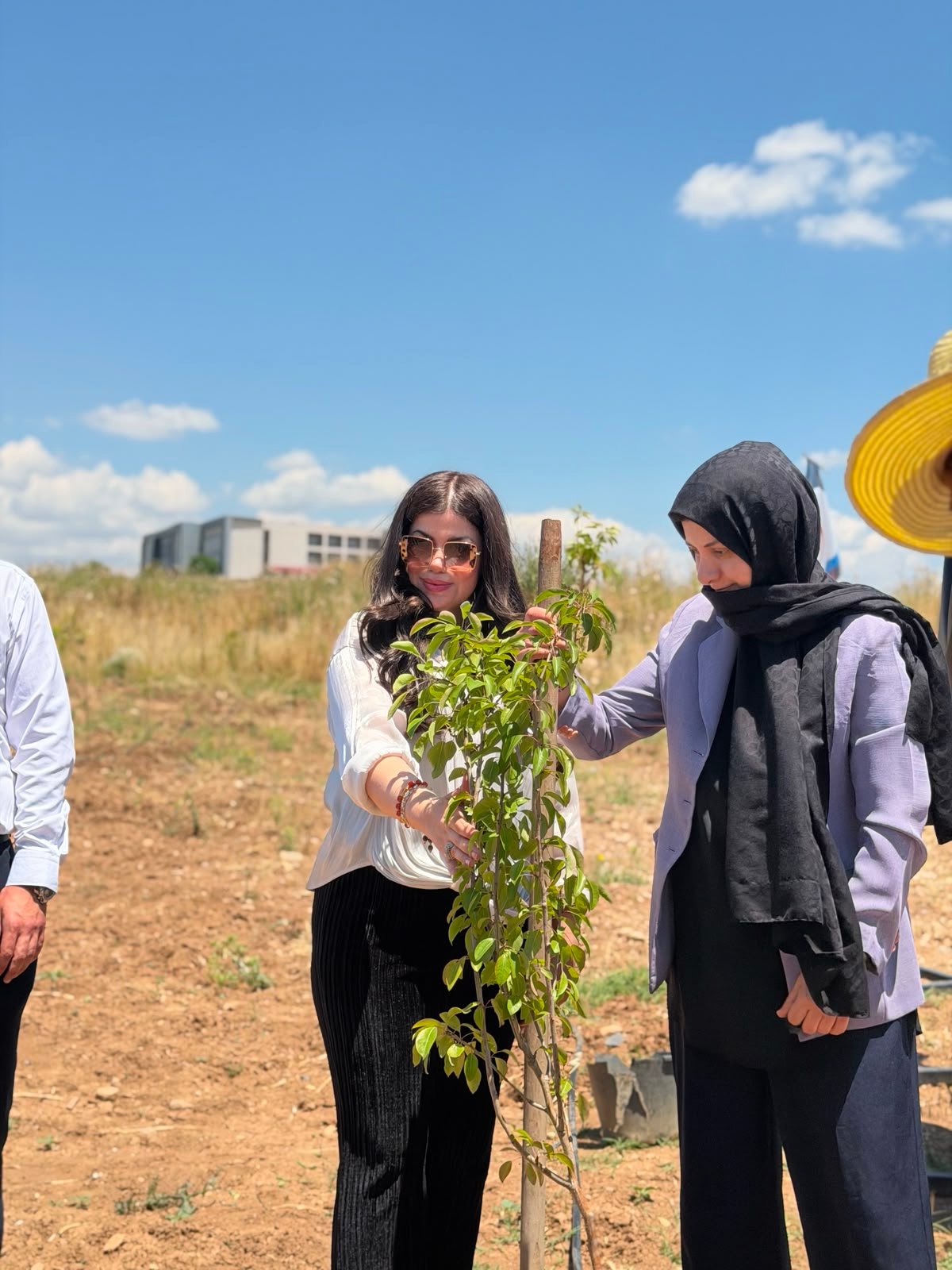Two participants steadying a young sapling tied to a support stake